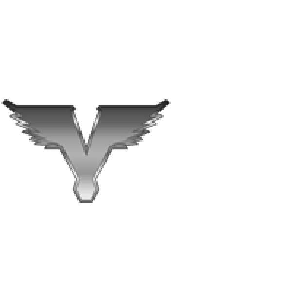 Logo Vision Sports Neuw 300x300